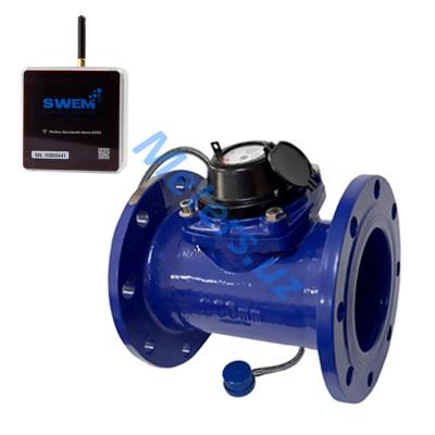  SWEM DN-200 + SWEM RS-485