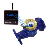  SWEM DN-50 + SWEM RS-485
